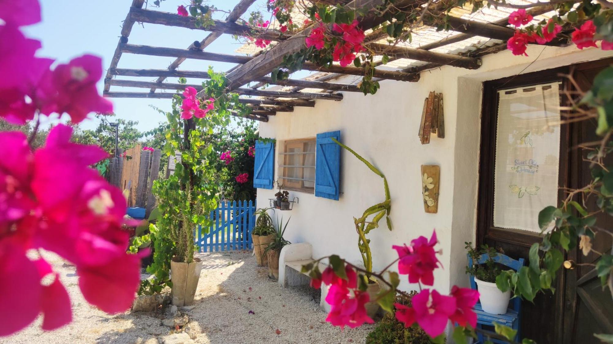 Sweet Old House * Marsala